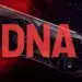 AMD RDNA 5 llegaría en 2027 para competir frente a Nvidia en la gama alta